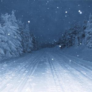 日本美妞嘴打炮视频
